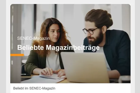 Das Bild zeigt im Newsletter, das ein neues Segment startet und gibt dem Leser Struktur.